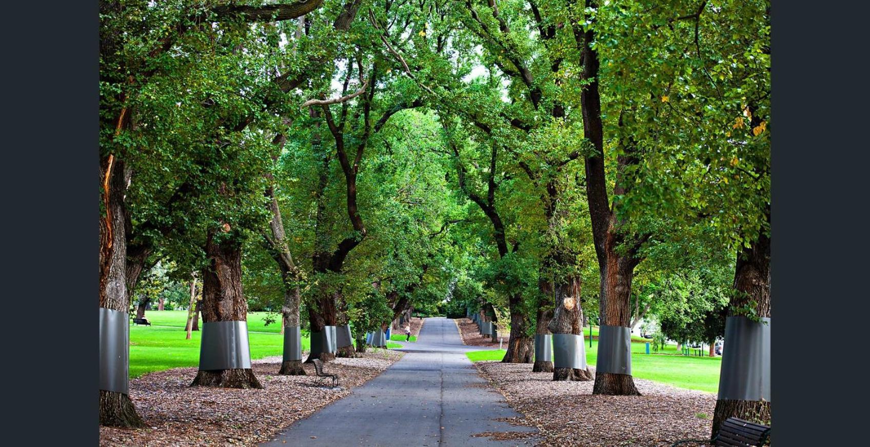 Knightsbridge Apartments Melbourne Buitenkant foto